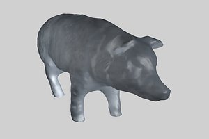 Detailed Pig Base Mesh
