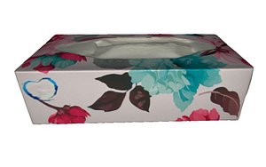 3D box napkin model
