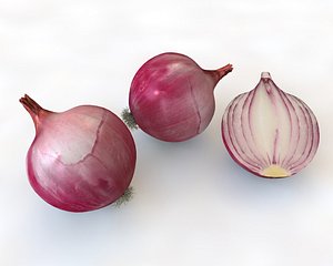 3D model onion