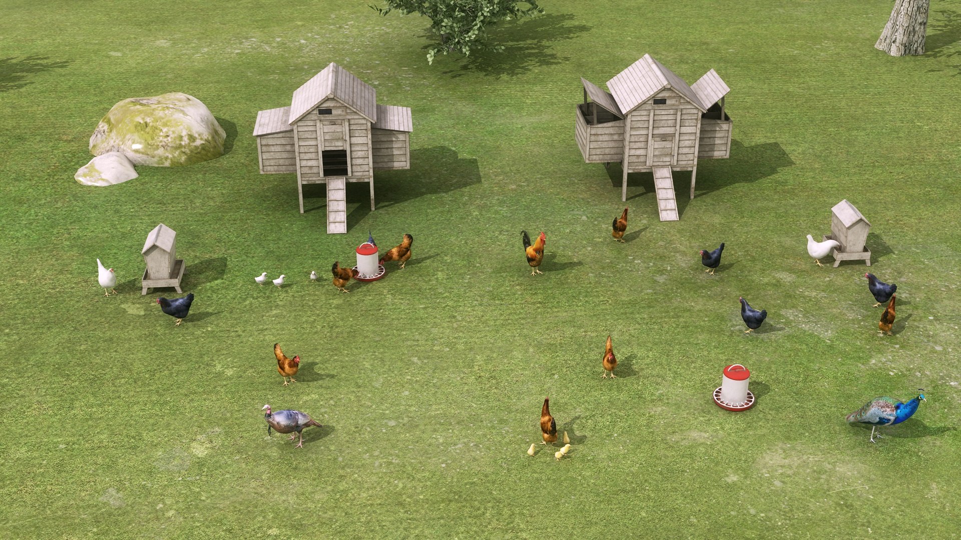 3D Chicken Coop And Chickens Model - TurboSquid 2488060
