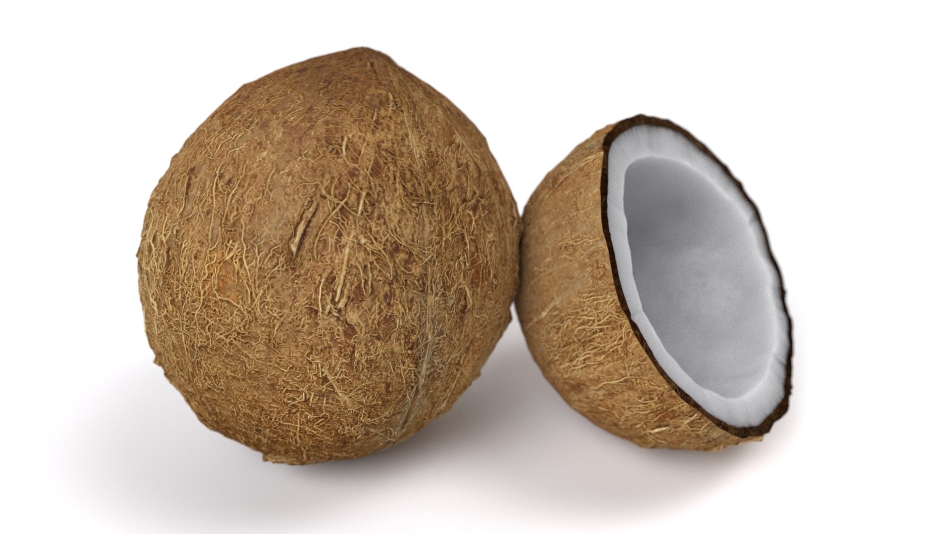 realistic coconut 01 3D model https://p.turbosquid.com/ts-thumb/ZU/iJQ6rp/1Ruz7pDS/5/jpg/1572538053/1920x1080/fit_q87/1ab16b7dcc5bc794ba89c78a707cd91a56771a88/5.jpg