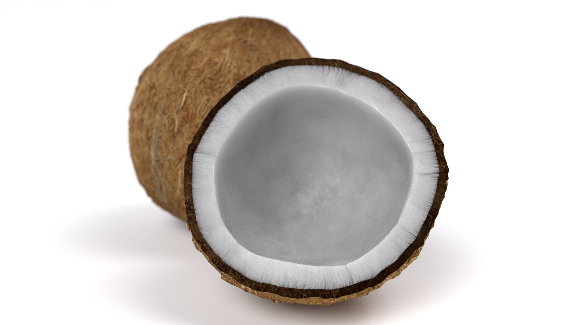 realistic coconut 01 3D model https://p.turbosquid.com/ts-thumb/ZU/iJQ6rp/1klChgwU/3/jpg/1572538020/1920x1080/fit_q87/0a6befdcf600d5b3bb0c37009a053fa5f348ae5a/3.jpg