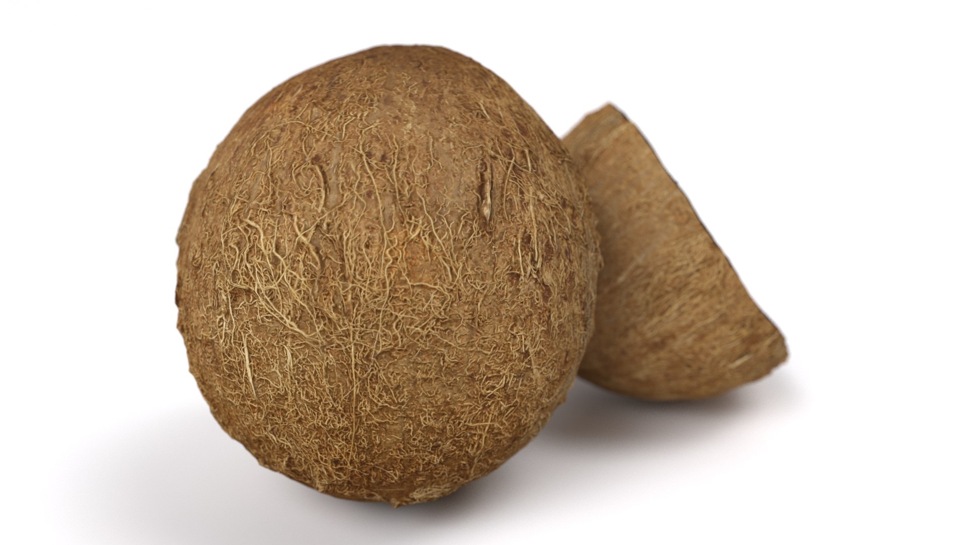 realistic coconut 01 3D model https://p.turbosquid.com/ts-thumb/ZU/iJQ6rp/IgIjBEnd/4/jpg/1572538033/1920x1080/fit_q87/f9bf51f9c555d6e87dceab481cc0b497c31efa1d/4.jpg