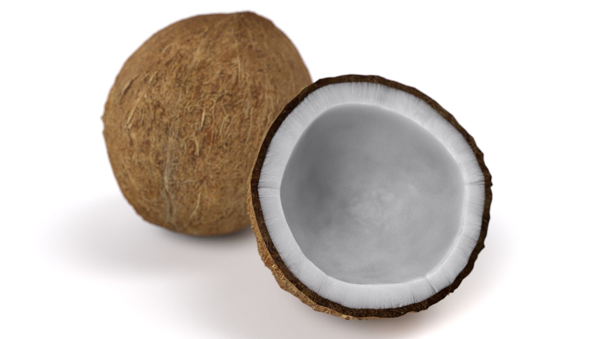 realistic coconut 01 3D model https://p.turbosquid.com/ts-thumb/ZU/iJQ6rp/Lmc4UIjJ/18/jpg/1572538233/1920x1080/fit_q87/7901f9bee94af6e74f8a72d592b4980a36b51da0/18.jpg