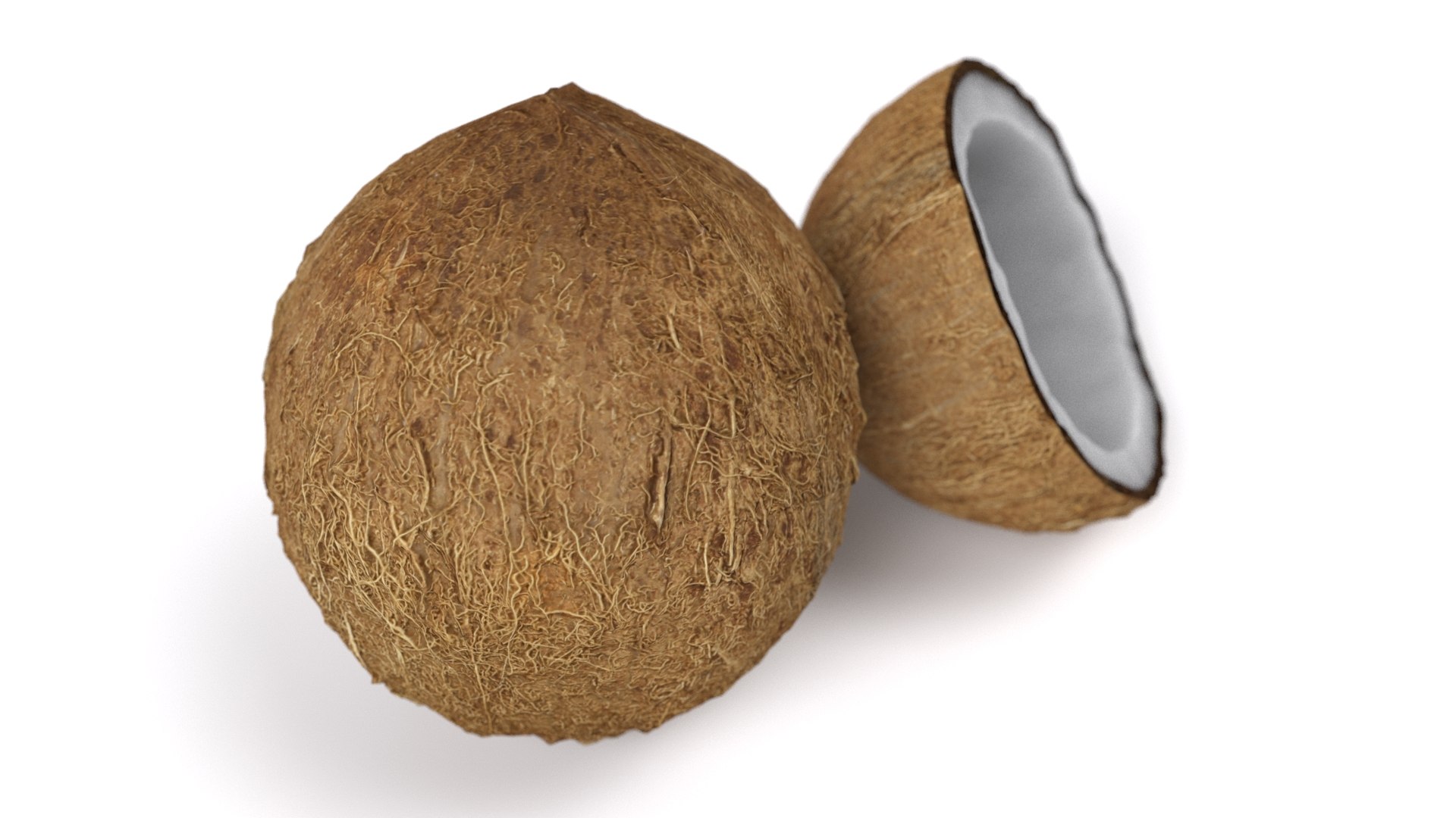 realistic coconut 01 3D model https://p.turbosquid.com/ts-thumb/ZU/iJQ6rp/PWwMP9Fs/14/jpg/1572538176/1920x1080/fit_q87/ee24cf610e496557153415ca94a86804a86bba44/14.jpg