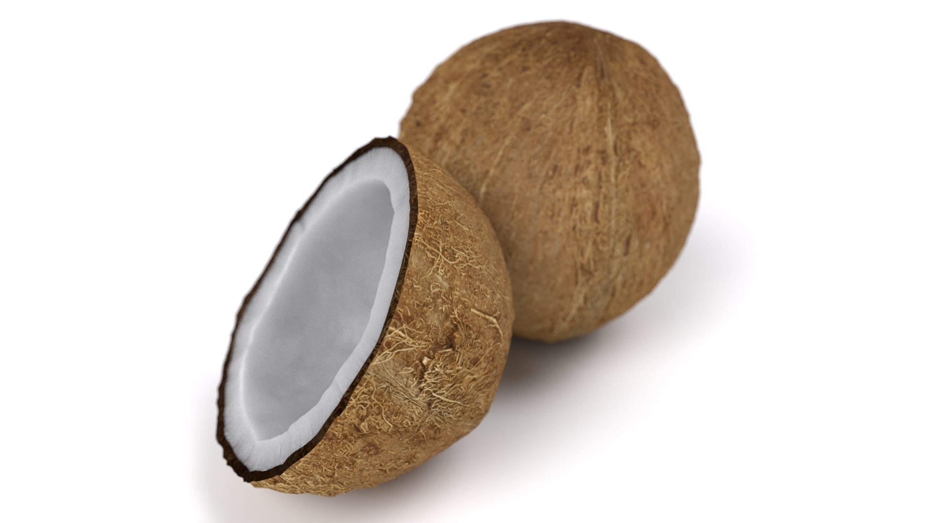 realistic coconut 01 3D model https://p.turbosquid.com/ts-thumb/ZU/iJQ6rp/pTDuJx1B/6/jpg/1572538065/1920x1080/fit_q87/c18d85d277efaab047bb196831d8c4b333328a76/6.jpg