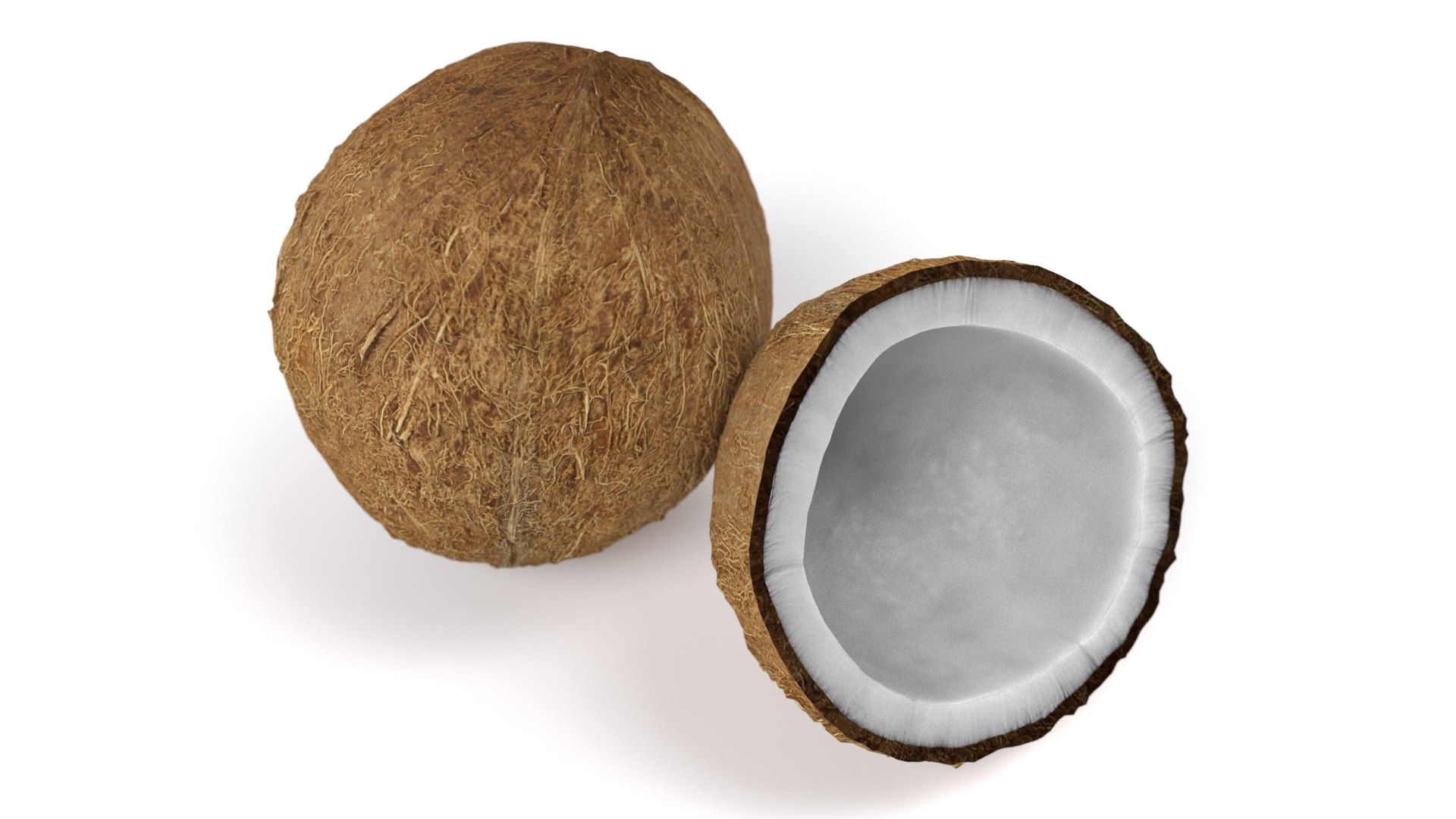 realistic coconut 01 3D model https://p.turbosquid.com/ts-thumb/ZU/iJQ6rp/wMlFa5u9/7/jpg/1572538082/1920x1080/fit_q87/746df1f045ccb6ba873310a611eda388478b6b65/7.jpg