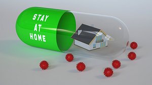 capsule corona 3D model