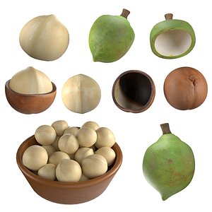Macadamia Nut Collection