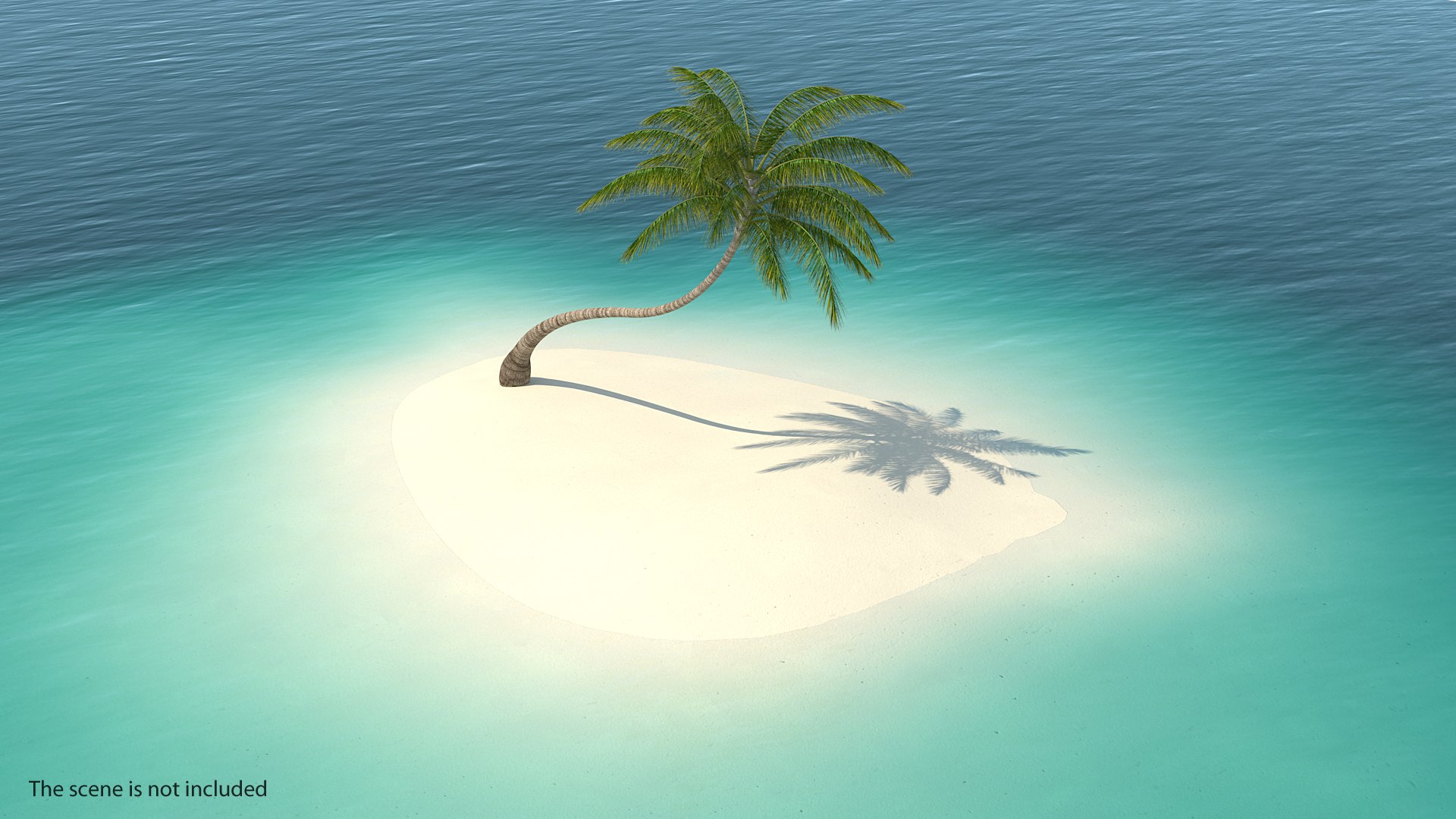 Tropical Palm Tree 3D model preview