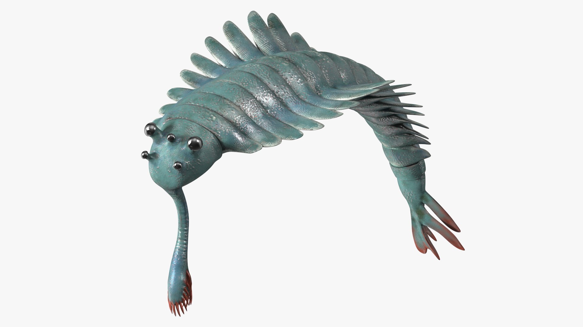 Green Opabinia Flip 3D model preview