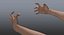 rigged human hands female c4d