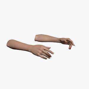 Rigged and Animated Hands (Female)