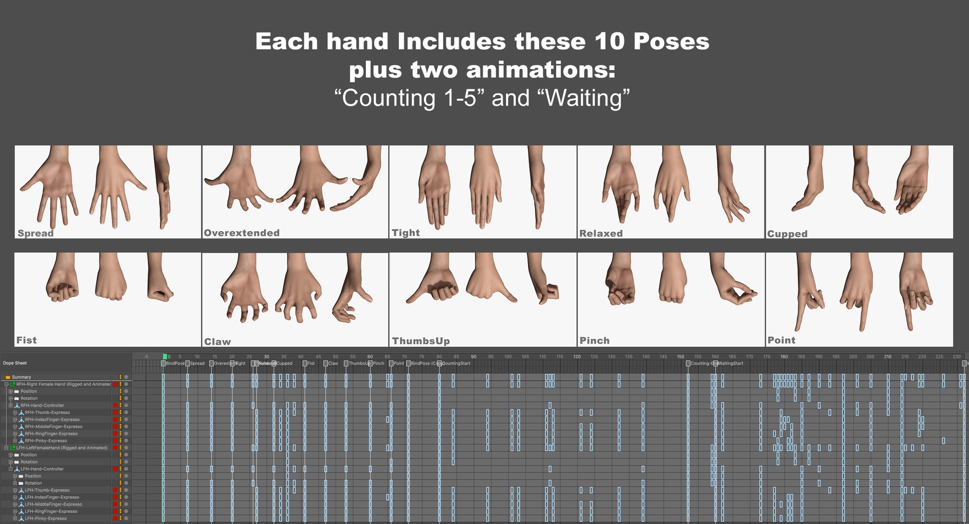rigged human hands female c4d https://p.turbosquid.com/ts-thumb/ZV/ICXcPu/sAeW6SUd/femalehandposes/jpg/1474537775/1920x1080/fit_q87/bb9d81a5a99fb1624cfa335ce7c4d33862320b4b/femalehandposes.jpg