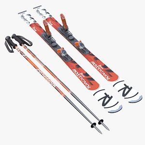 alpine ski poles max