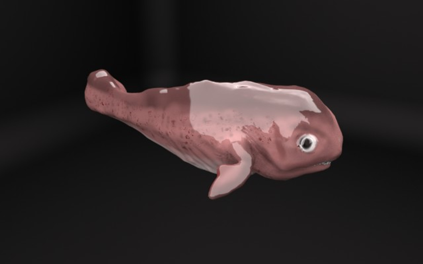 3D model Blobfish Realistic Animated VR / AR / low-poly