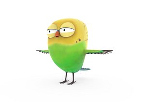 Cute parrot little bird