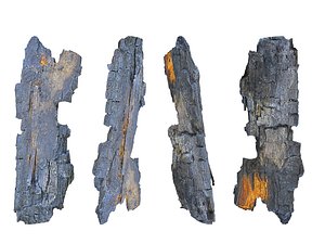 burned tree branch 8k 3D model