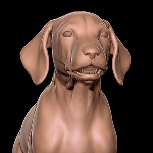 3D Dalmatian Puppy Sculpt model
