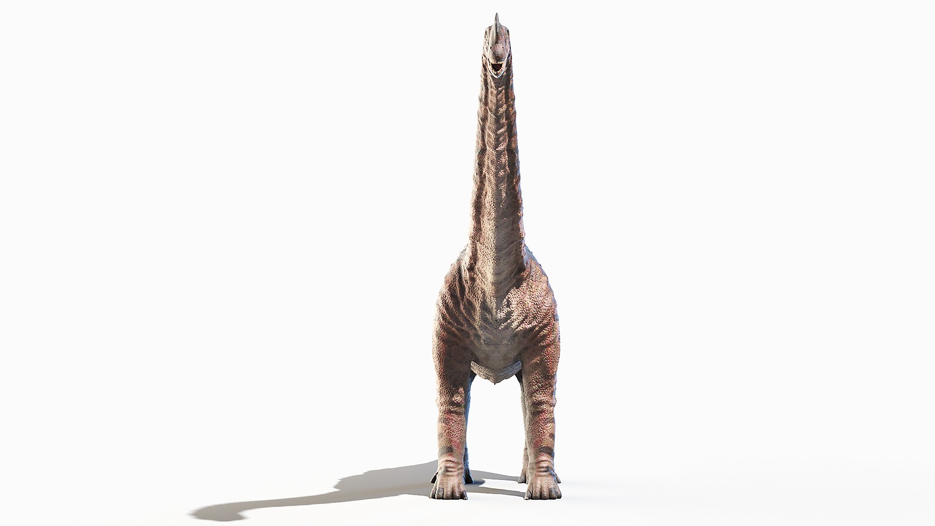 3D Model Europasaurus - TurboSquid 1719100