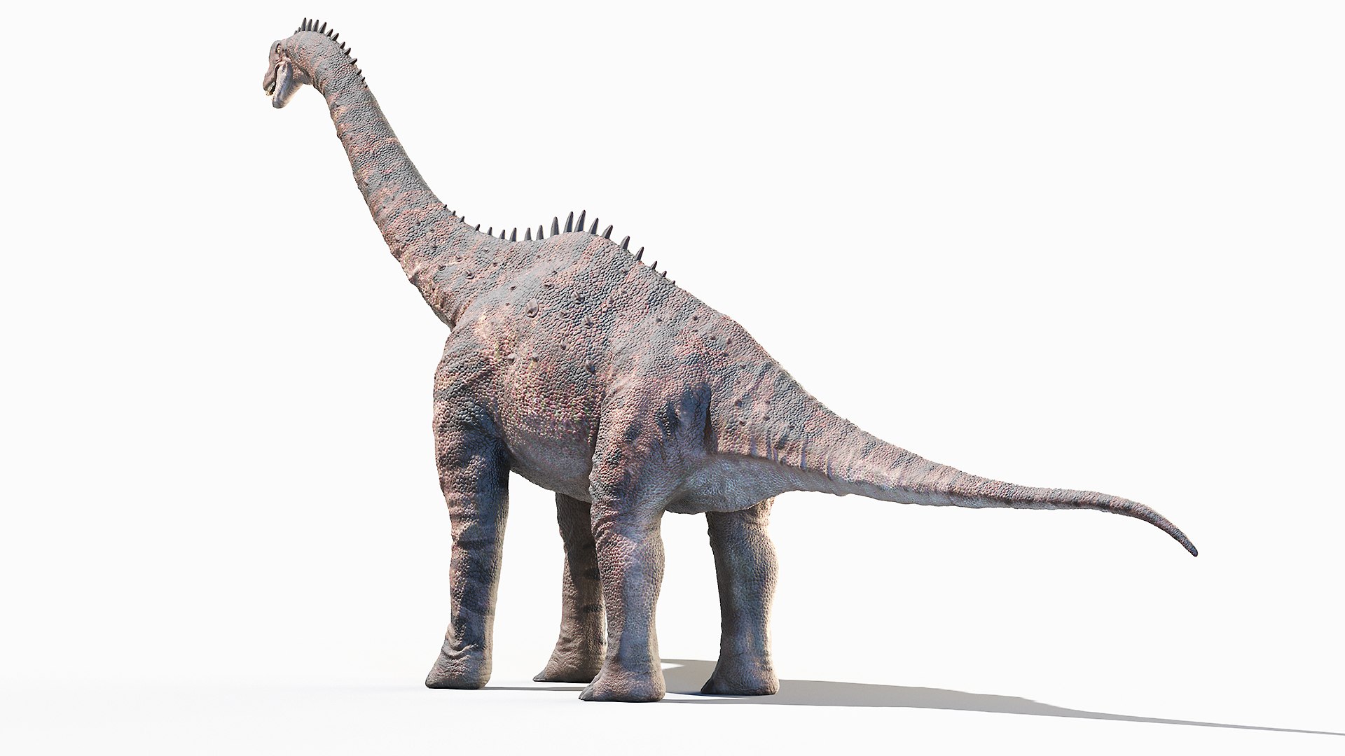 3D Model Europasaurus - TurboSquid 1719100