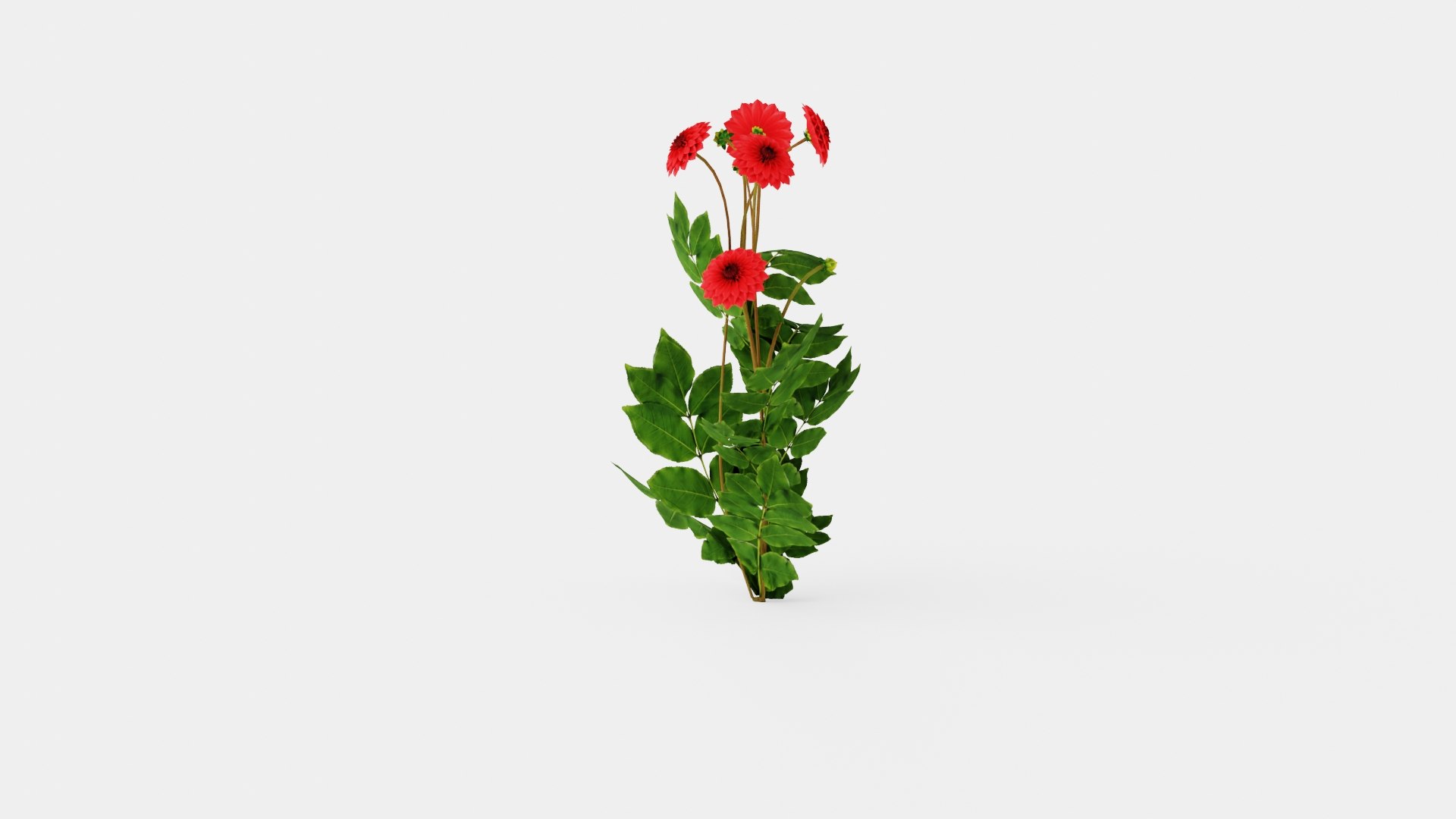 3D COOL FLAME model https://p.turbosquid.com/ts-thumb/ZV/Xqowxh/4H/preview_2/jpg/1719820769/1920x1080/fit_q87/3890cf2f09661f637400da7df869407acdc36dfc/preview_2.jpg
