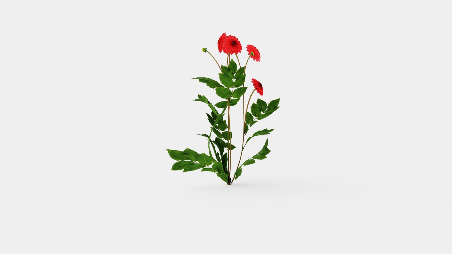 3D COOL FLAME model https://p.turbosquid.com/ts-thumb/ZV/Xqowxh/Z1/preview_4/jpg/1719820778/1920x1080/fit_q87/ea391404385070b59e3f2aba2950bfb102771b59/preview_4.jpg