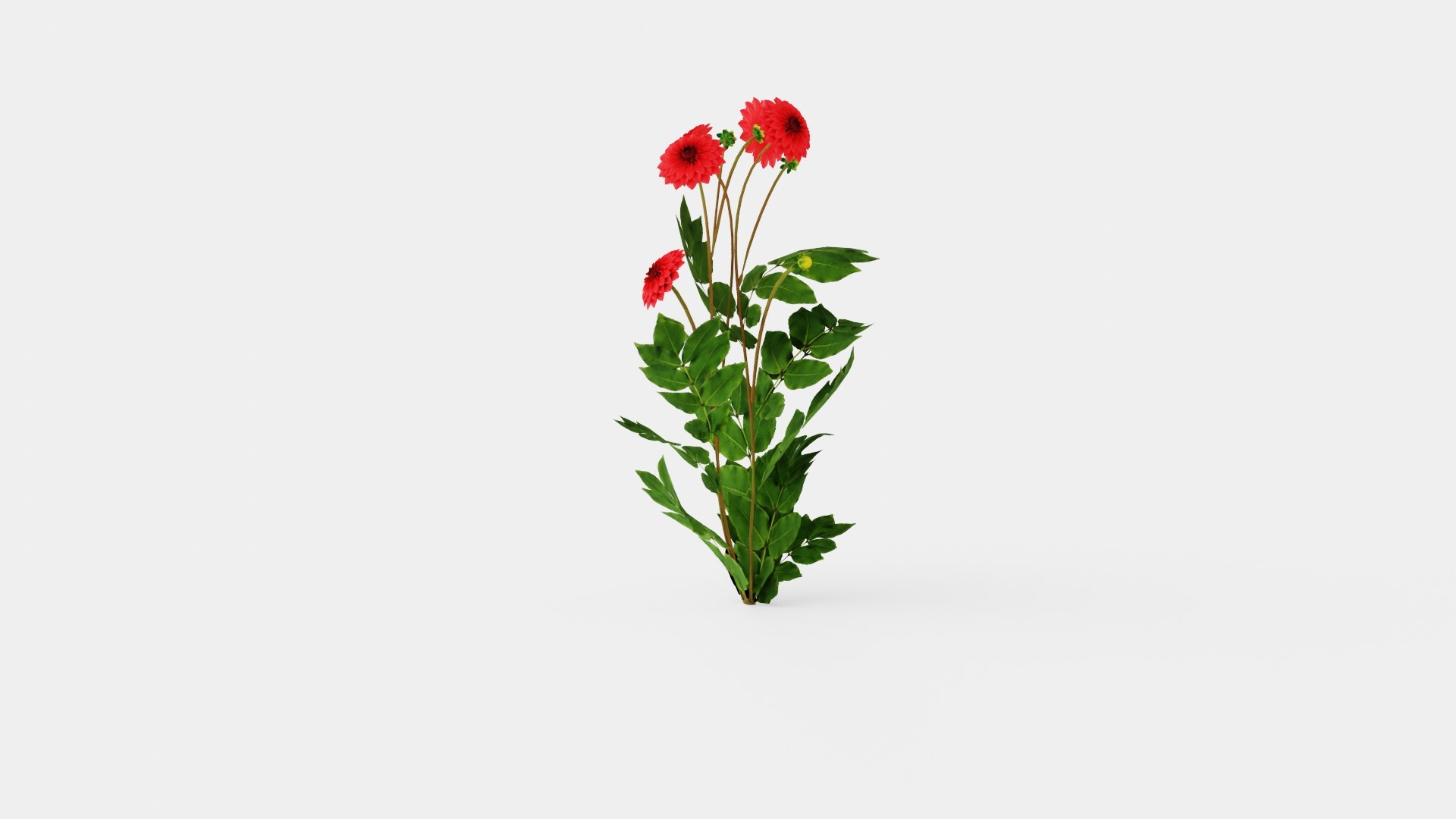 3D COOL FLAME model https://p.turbosquid.com/ts-thumb/ZV/Xqowxh/qp/preview_1/jpg/1719820765/1920x1080/fit_q87/0125a0f3721cd38ccd4540d3343638b2b1008502/preview_1.jpg