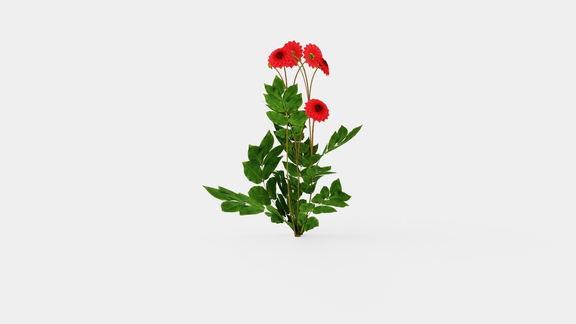 3D COOL FLAME model https://p.turbosquid.com/ts-thumb/ZV/Xqowxh/xM/preview_3/jpg/1719820774/1920x1080/fit_q87/c460c3e9558d7d95ebd9a22d1bdb1684e14bbc39/preview_3.jpg