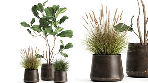 Houseplants in a flowerpot for the interior 971 3D model
