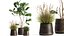 インテリア971の植木鉢の観葉植物