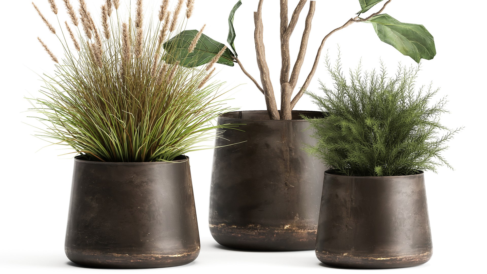 Houseplants in a flowerpot for the interior 971 3D model https://p.turbosquid.com/ts-thumb/ZV/YkdMsP/84/1plants1305202104/jpg/1620989683/1920x1080/fit_q87/a23b645ce717f0032d4ad50f985897e8f10afba6/1plants1305202104.jpg