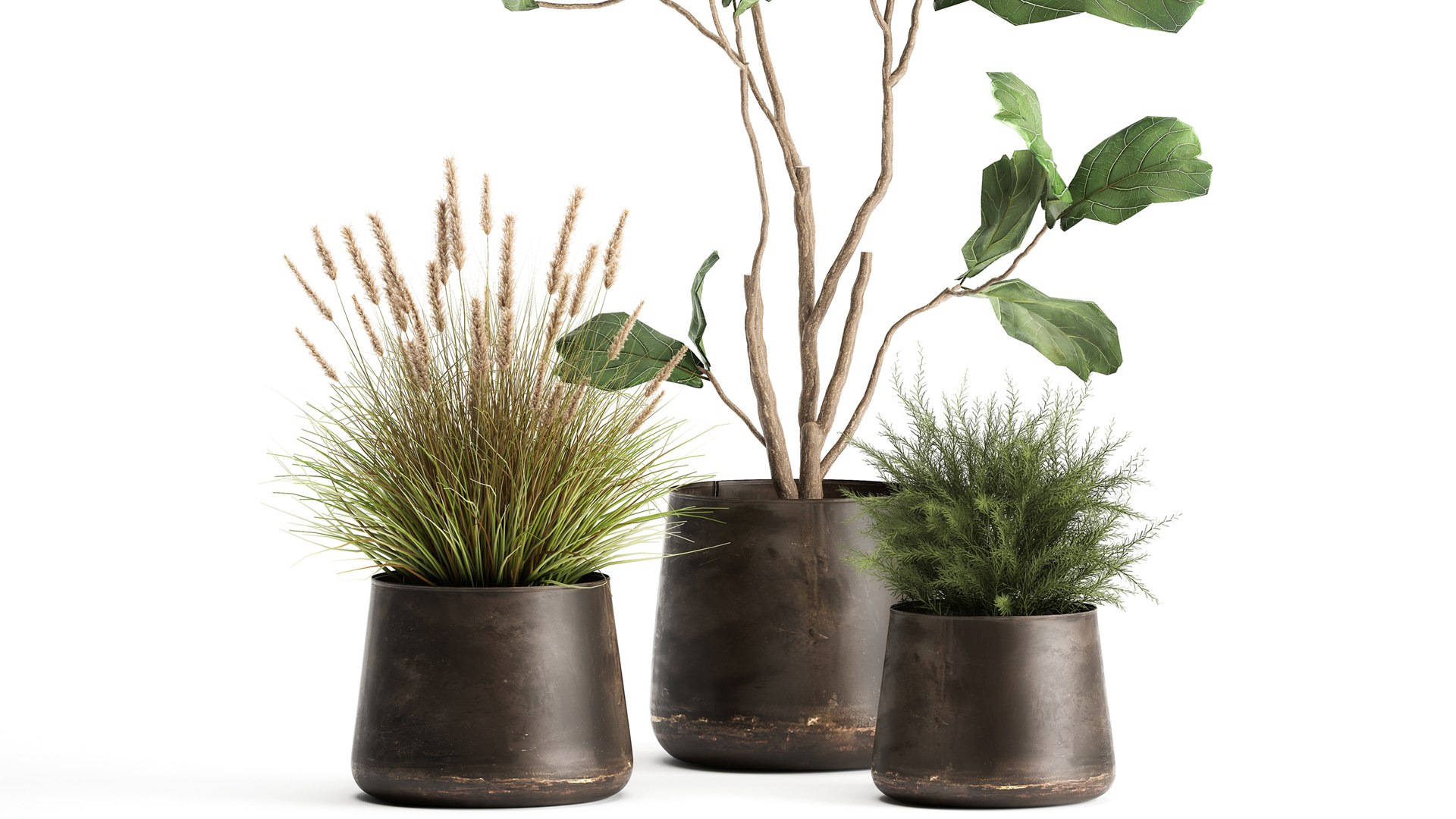 Houseplants in a flowerpot for the interior 971 3D model https://p.turbosquid.com/ts-thumb/ZV/YkdMsP/bz/1plants1305202103/jpg/1620989682/1920x1080/fit_q87/53d4337e0397e589f03769ec88dfb207a5382665/1plants1305202103.jpg
