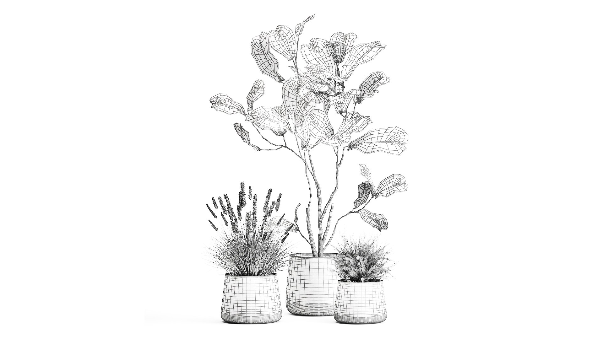 Houseplants in a flowerpot for the interior 971 3D model https://p.turbosquid.com/ts-thumb/ZV/YkdMsP/iw/1plants1305202109/jpg/1620989682/1920x1080/fit_q87/d84e733de895653c26dfbdd64c58e1822f9681e8/1plants1305202109.jpg