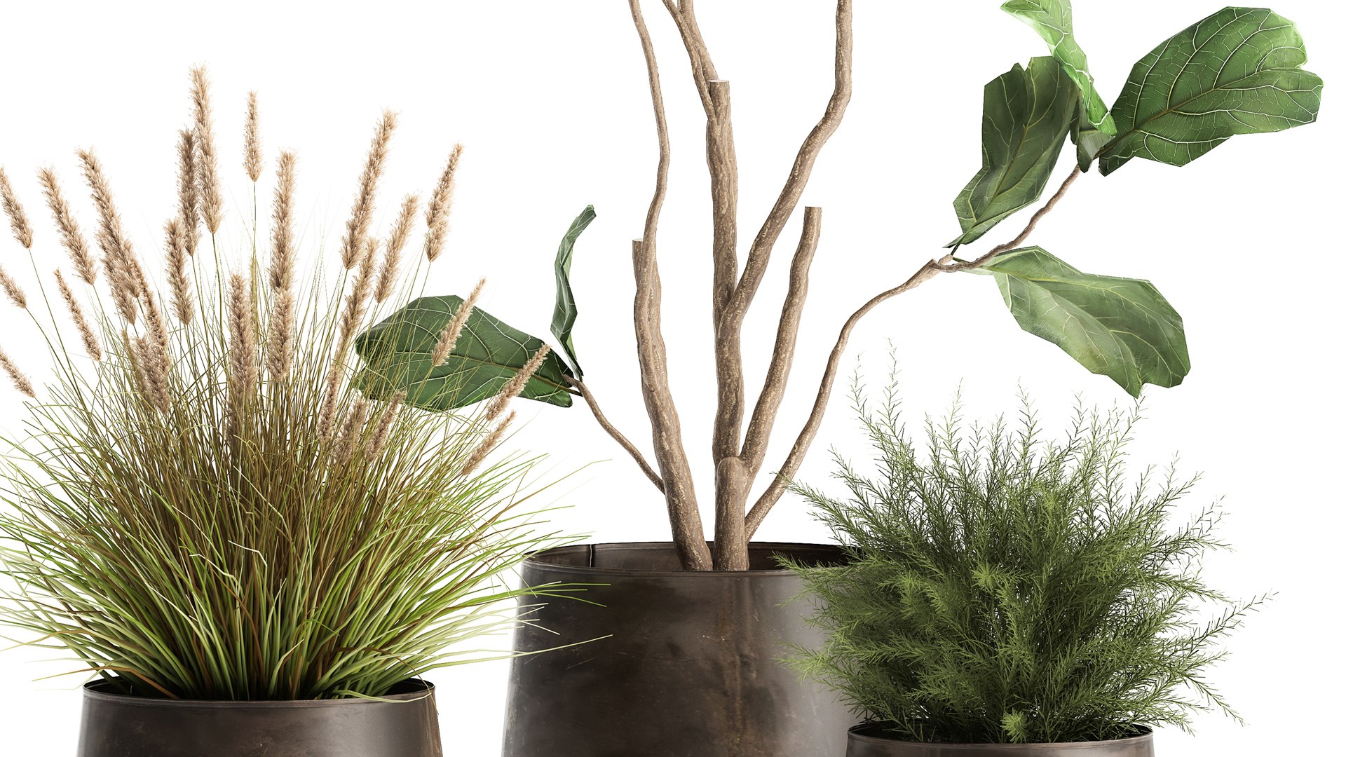 Houseplants in a flowerpot for the interior 971 3D model https://p.turbosquid.com/ts-thumb/ZV/YkdMsP/q4/1plants1305202105/jpg/1620989685/1920x1080/fit_q87/5c9bce92b748b8e73680052f14f1901ddca86d63/1plants1305202105.jpg