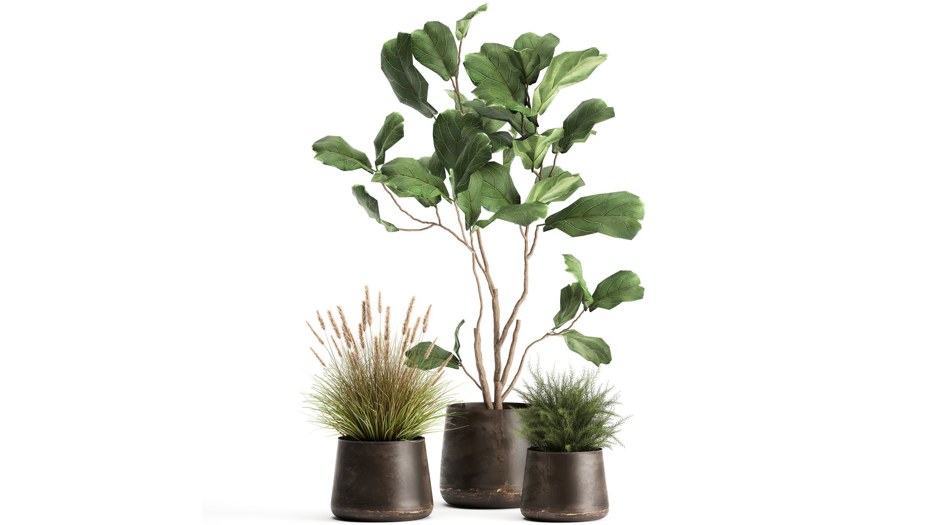 Houseplants in a flowerpot for the interior 971 3D model https://p.turbosquid.com/ts-thumb/ZV/YkdMsP/q5/1plants1305202101/jpg/1620989682/1920x1080/fit_q87/94dcda7d2aa7501118dc82967b72db9aada1391c/1plants1305202101.jpg