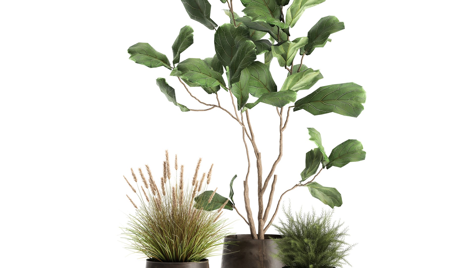 Houseplants in a flowerpot for the interior 971 3D model https://p.turbosquid.com/ts-thumb/ZV/YkdMsP/xe/1plants1305202102/jpg/1620989684/1920x1080/fit_q87/018de70a7299656015fbbdccd9200f5b503a45e0/1plants1305202102.jpg