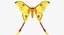 Comet Moth with Fur 3D Model