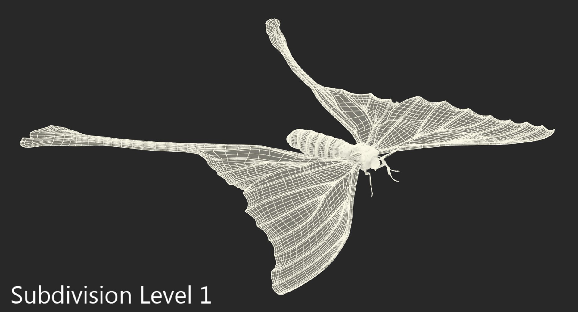 3d comet moth fur model https://p.turbosquid.com/ts-thumb/ZV/dG1U0e/aau63QmR/cometmothwithfur3dsmodel010/jpg/1488354637/1920x1080/fit_q87/9ffa246abc41dc896e401744ff194f41eb24d41d/cometmothwithfur3dsmodel010.jpg