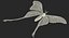 Comet Moth with Fur 3D Model