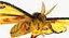 Comet Moth with Fur 3D Model