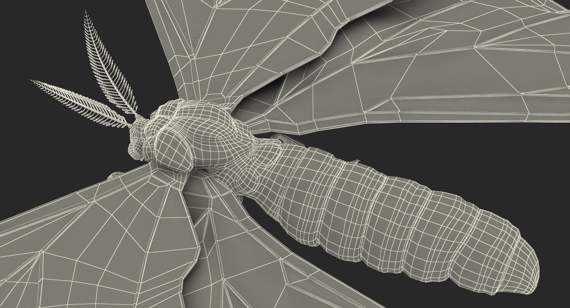 3d comet moth fur model https://p.turbosquid.com/ts-thumb/ZV/dG1U0e/we5waTqu/cometmothwithfur3dsmodel017/jpg/1488354637/1920x1080/fit_q87/a59519279ba98c0281af9a8e353d629cc8166f76/cometmothwithfur3dsmodel017.jpg