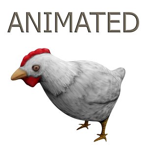Chicken Hand Painted