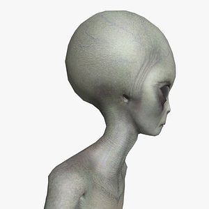 Super-Realistic Gray Alien 3D Animation - Running Forward Fli 3D model