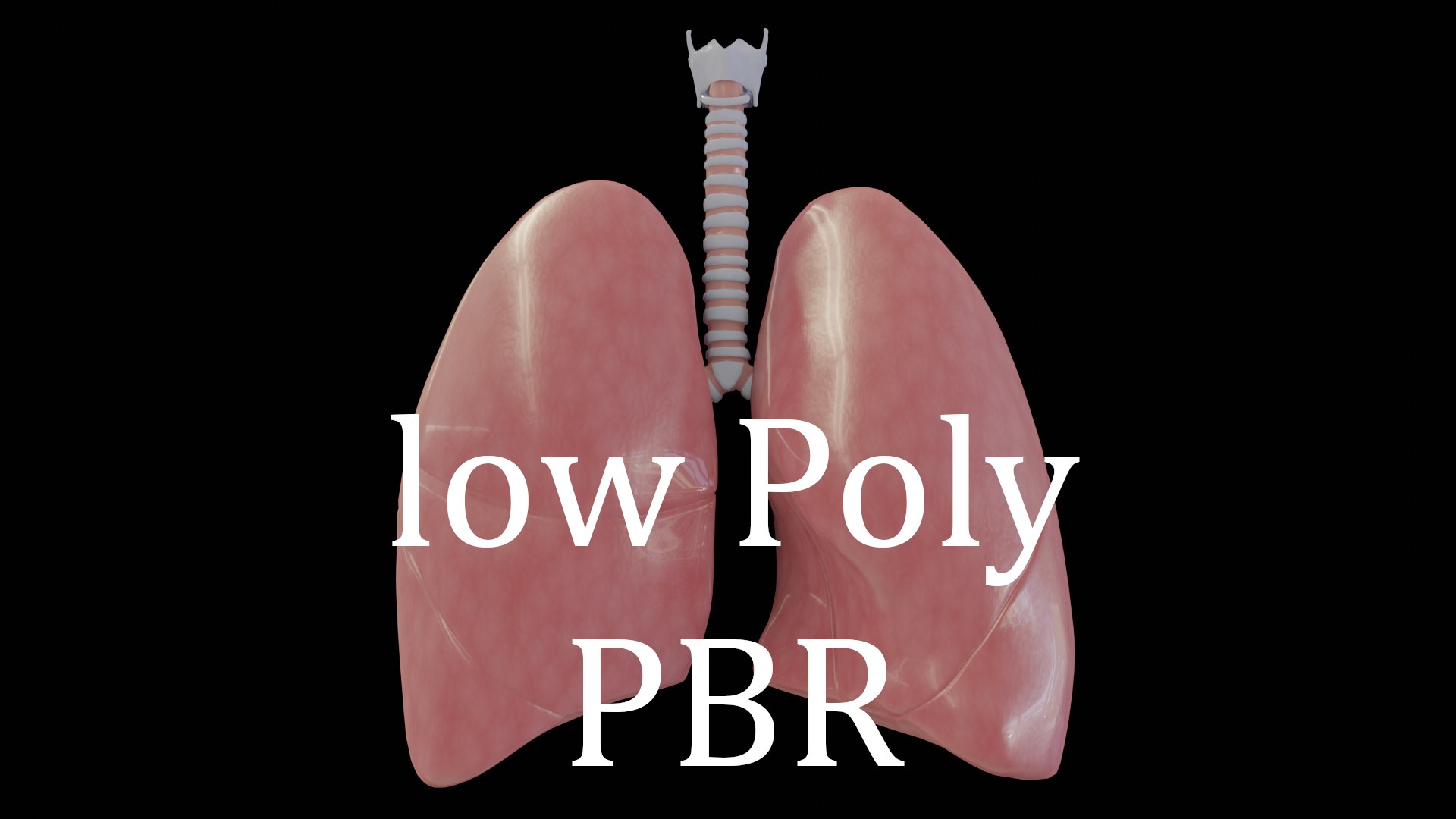 3D human lungs model https://p.turbosquid.com/ts-thumb/ZW/BNaJ1z/LOeUPYZa/portada_uno/png/1567655848/1920x1080/fit_q87/d13cd9a5c74d90e8f983a88e7639df2eaccb2102/portada_uno.jpg