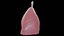 Human Lungs