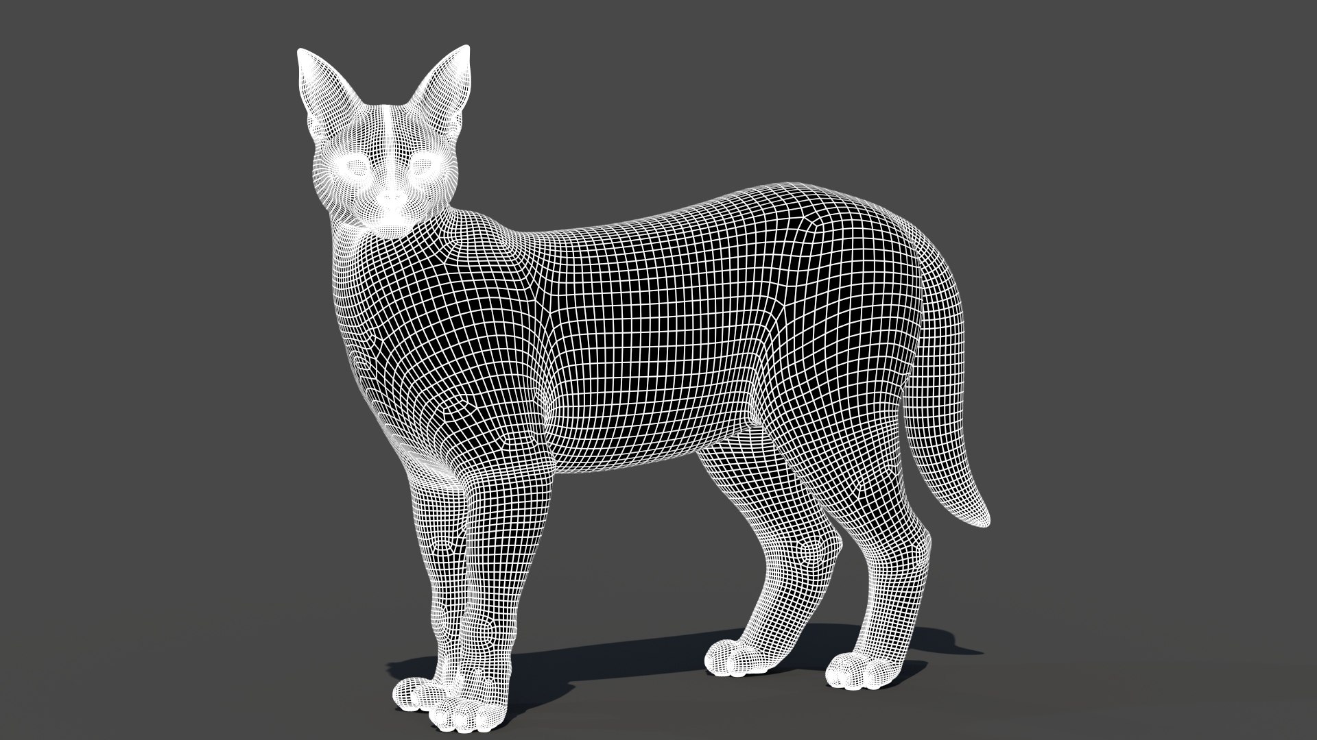 Caracal Rigged 3D model https://p.turbosquid.com/ts-thumb/ZW/FegR8P/nL/caracal3dmodelriggedwireframe02/jpg/1685032268/1920x1080/fit_q87/b14db3a17b2f882eabae5e6ab603d8f44ac2c621/caracal3dmodelriggedwireframe02.jpg
