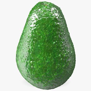 Avocado Fruit 3D model