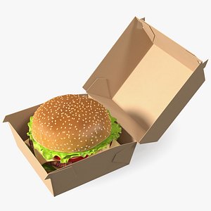 Burger Box Brown with Hamburger 3D
