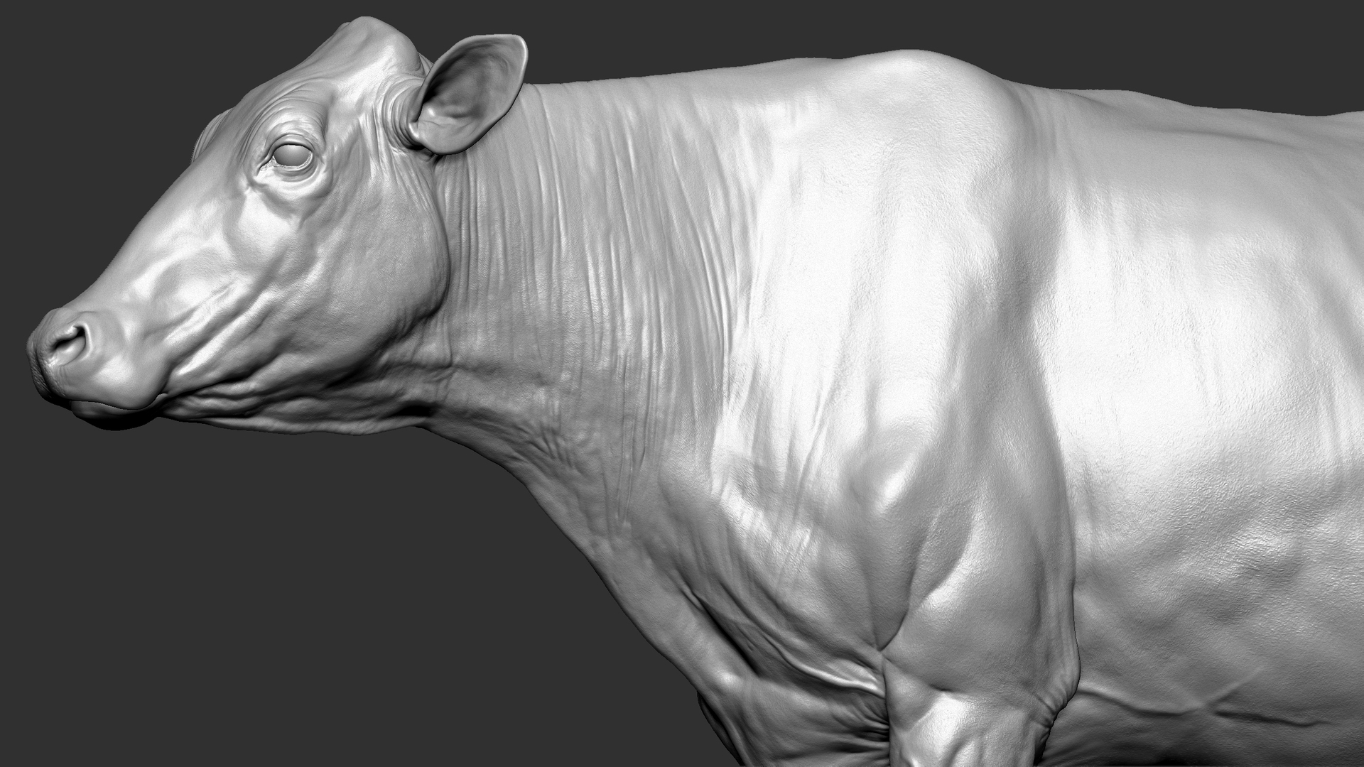 how to make a cow catcher in zbrush